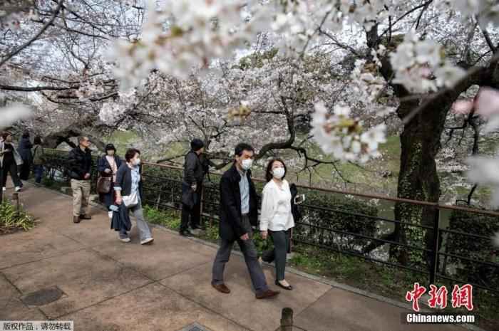 日本华侨华人：从容应对，投桃报李！